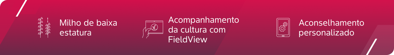 1_Benefícios e rendimento do sistema Preceon.png